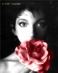 Kate Bush